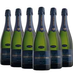 Trento DOC brut - Cesarini...