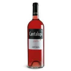 Cantalupi Rosato IGP Salento 2018 - Conti Zecca